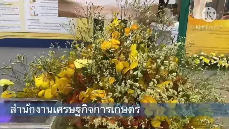ศูนย์ข้อมูลเกษตรแห่งชาติ ร่วมงานนิทรรศการ “๙ ใน ๙ สิ่งสำคัญสัมพันธ์ฝนหลวง” ในวันที่ ๑๓ พฤศจิกายน ๒๕๖๓  เนื่องในวันพระบิดาแห่งฝนหลวง ประจำปี ๒๕๖๓ ณ ลานเอนกประสงค์ อาคารรัฐประศาสนภักดี ศูนย์ราชการเฉลิมพระเกียรติฯ