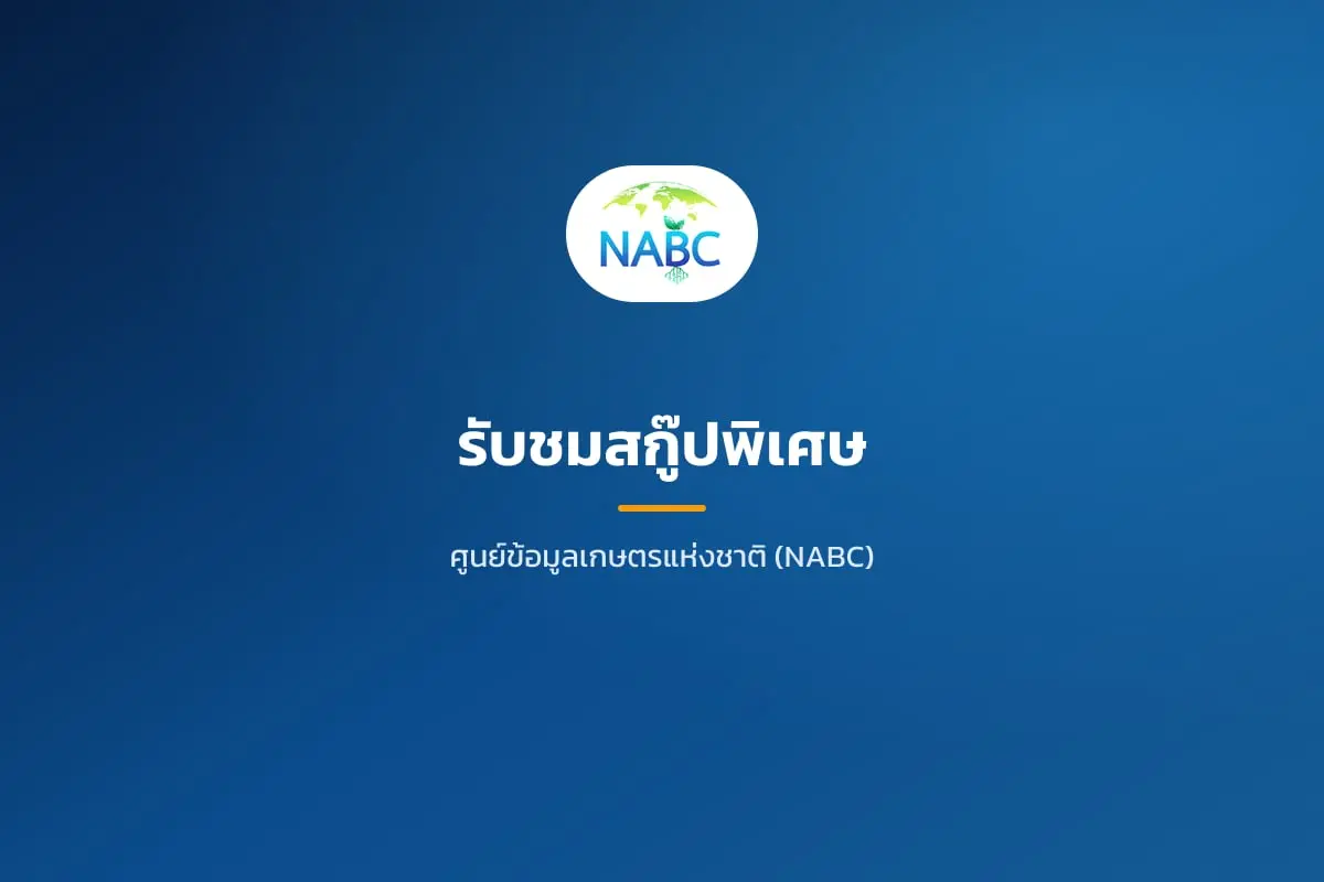 รับชมสกู๊ปพิเศษ