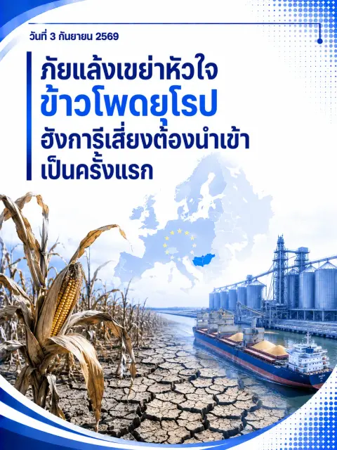 🌽 ภัยแล้งเขย่าหัวใจข้าวโพดยุโรป ฮังการีเสี่ยงต้องนำเข้าเป็นครั้งแรก