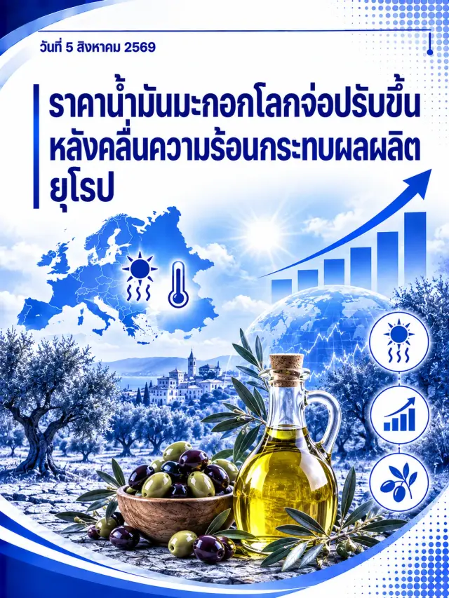 ราคาน้ำมันมะกอกโลกจ่อปรับขึ้น หลังคลื่นความร้อนกระทบผลผลิตยุโรป