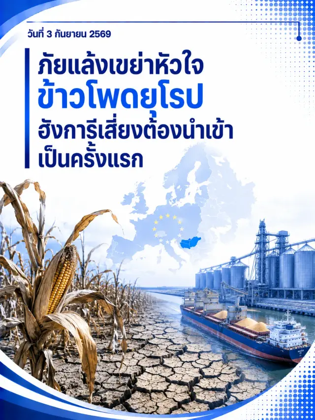 🌽 ภัยแล้งเขย่าหัวใจข้าวโพดยุโรป ฮังการีเสี่ยงต้องนำเข้าเป็นครั้งแรก