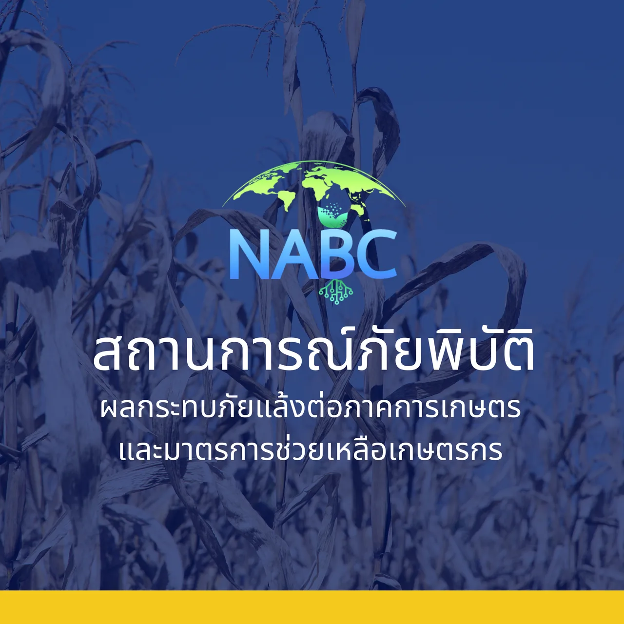 ผลกระทบภัยแล้งต่อภาคการเกษตรและมาตรการช่วยเหลือเกษตรกร