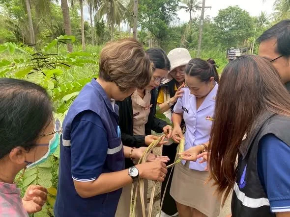 Field Monitoring and Analysis of Coconut Black-Headed Caterpillar Outbreaks in Western Thailand
