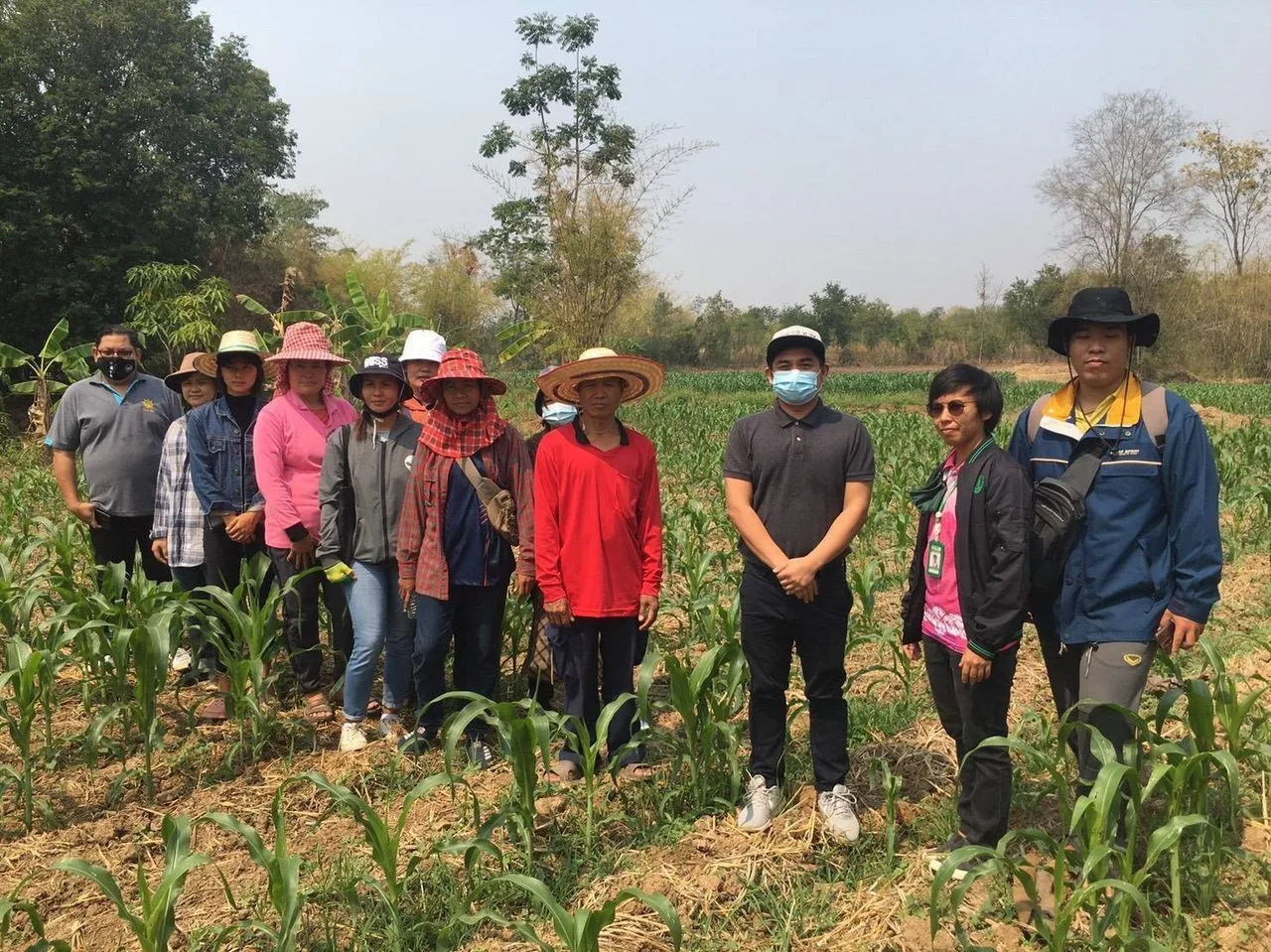 การลงพื้นที่ติดตามสถานการณ์การระบาดของหนอนกระทู้ข้าวโพดลายจุด